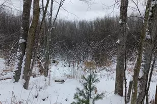 V/L 118A E Townline Rd, Free Soil, MI 49411 - Photo 11