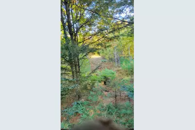 V/L 118A E Townline Road, Free Soil, MI 49411 - Photo 29