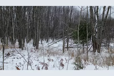 V/L 118A E Townline Road, Free Soil, MI 49411 - Photo 13