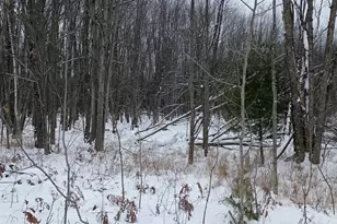 V/L 118A E Townline Rd, Free Soil, MI 49411 - Photo 13