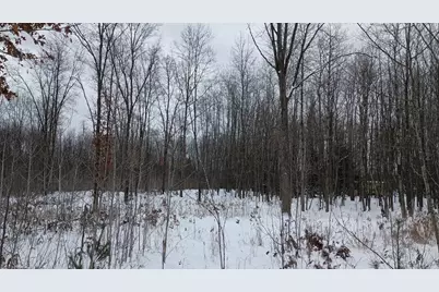 V/L 118A E Townline Road, Free Soil, MI 49411 - Photo 9