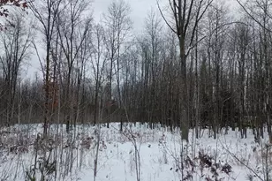 V/L 118A E Townline Rd, Free Soil, MI 49411 - Photo 9