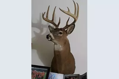 V/L 118A E Townline Road, Free Soil, MI 49411 - Photo 23