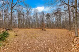 10798 E Remus Rd, Mount Pleasant, MI 48858 - Photo 25