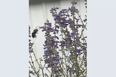 3517 Pinewood Trail, Holton, MI 49425 - Photo 11