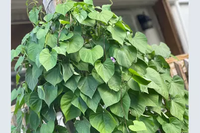 3517 Pinewood Trail, Holton, MI 49425 - Photo 7