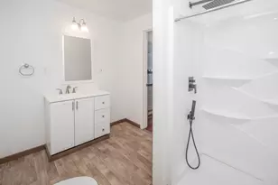 163 118th Ave, Shelbyville, MI 49344 - Photo 13