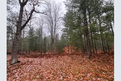 6270 S Woods Trail, Custer, MI 49405 - Photo 19