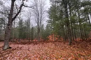 6270 S Woods Trail, Custer, MI 49405 - Photo 19