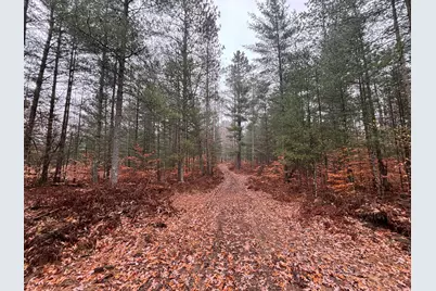 6270 S Woods Trail, Custer, MI 49405 - Photo 31