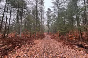 6270 S Woods Trail, Custer, MI 49405 - Photo 31