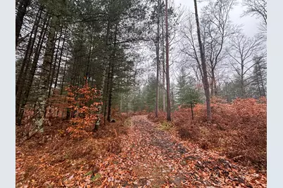 6270 S Woods Trail, Custer, MI 49405 - Photo 29