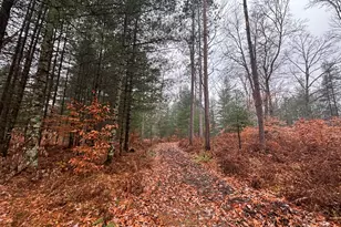 6270 S Woods Trail, Custer, MI 49405 - Photo 29