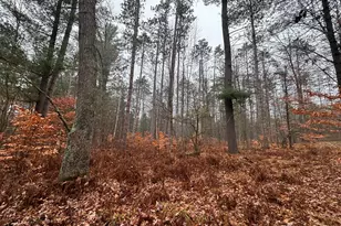 6270 S Woods Trail, Custer, MI 49405 - Photo 27