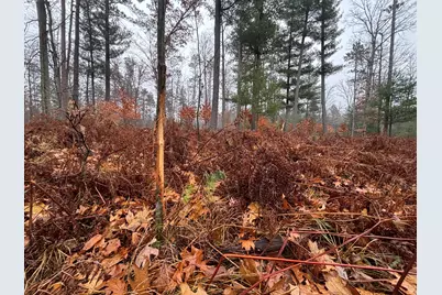 6270 S Woods Trail, Custer, MI 49405 - Photo 21