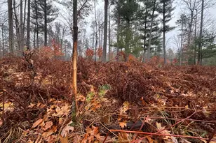 6270 S Woods Trail, Custer, MI 49405 - Photo 21