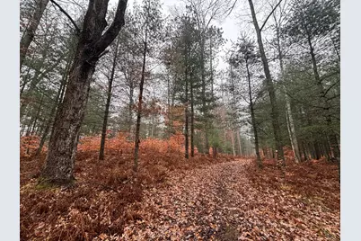 6270 S Woods Trail, Custer, MI 49405 - Photo 1