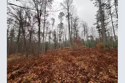 6270 S Woods Trail, Custer, MI 49405 - Photo 25