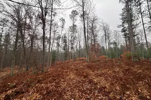 6270 S Woods Trail, Custer, MI 49405 - Photo 25