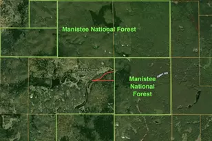 6270 S Woods Trail, Custer, MI 49405 - Photo 43