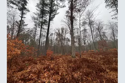 6270 S Woods Trail, Custer, MI 49405 - Photo 23