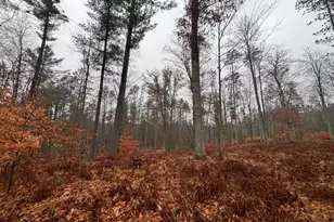 6270 S Woods Trail, Custer, MI 49405 - Photo 23