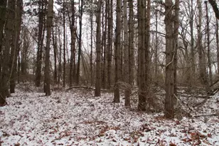 4000 Musbach Rd, Grass Lake, MI 49240 - Photo 71