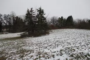 4000 Musbach Rd, Grass Lake, MI 49240 - Photo 51