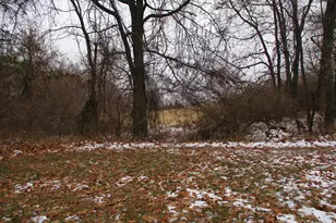 4000 Musbach Rd, Grass Lake, MI 49240 - Photo 57