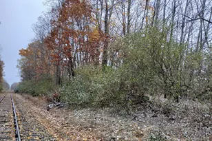 E Beyer Rd, Fountain, MI 49410 - Photo 9