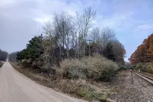 E Beyer Rd, Fountain, MI 49410 - Photo 1