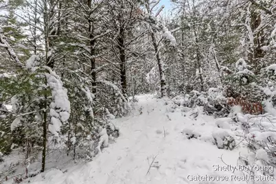 6007 S Cypress Avenue, Newaygo, MI 49337 - Photo 11