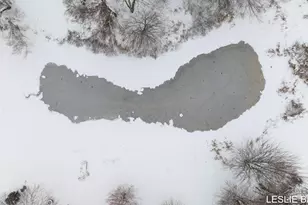 3534 41st St, Hamilton, MI 49419 - Photo 57