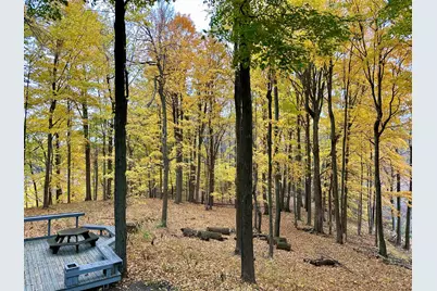 15833 E B Avenue, Augusta, MI 49012 - Photo 5