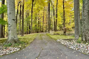 15833 E B Ave, Augusta, MI 49012 - Photo 13