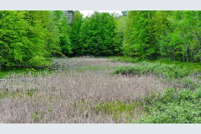V/L W 1 Mile Road, White Cloud, MI 49349 - Photo 3