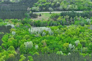 V/L W 1 Mile Rd, White Cloud, MI 49349 - Photo 1