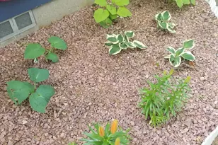 5770 W US Hwy 12, Buchanan, MI 49107 - Photo 69