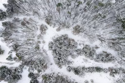 1115 Hamilton Road, Battle Creek, MI 49017 - Photo 49