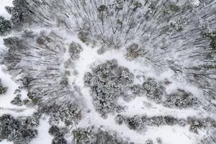 1115 Hamilton Rd, Battle Creek, MI 49017 - Photo 49