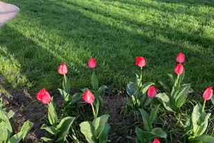 2150 Kinsey St, Muskegon, MI 49441 - Photo 33