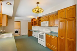 630 N State St, Stanton, MI 48888 - Photo 19