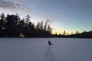 4185 N Taylor Rd, Branch, MI 49402 - Photo 43