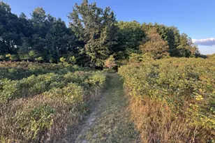 4185 N Taylor Rd, Branch, MI 49402 - Photo 27