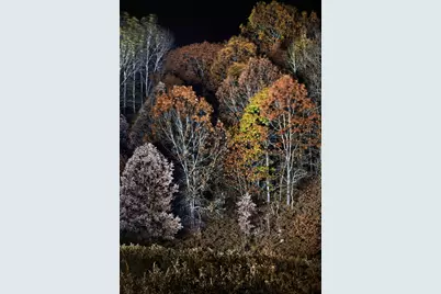 4185 N Taylor Road, Branch, MI 49402 - Photo 51