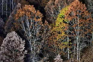 4185 N Taylor Rd, Branch, MI 49402 - Photo 51