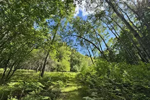 4185 N Taylor Rd, Branch, MI 49402 - Photo 35