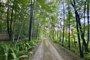 4185 N Taylor Rd, Branch, MI 49402 - Photo 29