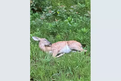 16527 Lake Michigan Drive, West Olive, MI 49460 - Photo 63