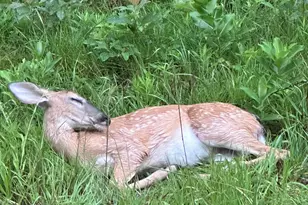 16527 Lake Michigan Dr, West Olive, MI 49460 - Photo 63